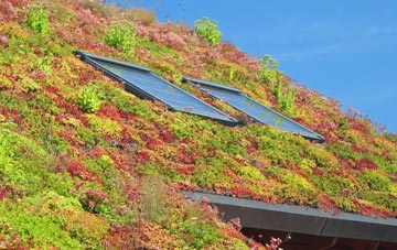 Evesbatch living roof systems