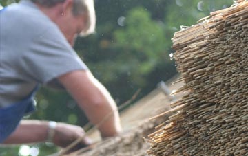 professional Evesbatch thatchers