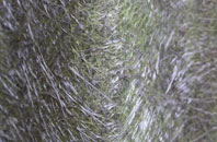 Evesbatch fibreglass roof work