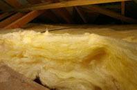 Evesbatch pitch roof insulation